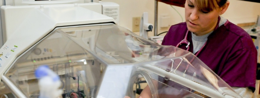 5 Reasons Why Neonatal Nurse Practitioners Love Working Locum Tenens